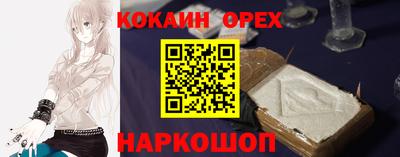 крисы Будённовск