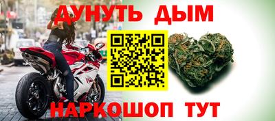 крисы Будённовск