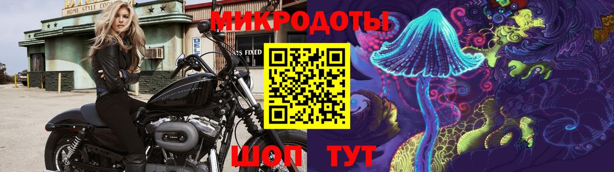 Галлюциногенные грибы Psilocybe Омск